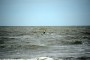Thumbs/tn_Kite Board Open 2015 Zaterdag 002.jpg